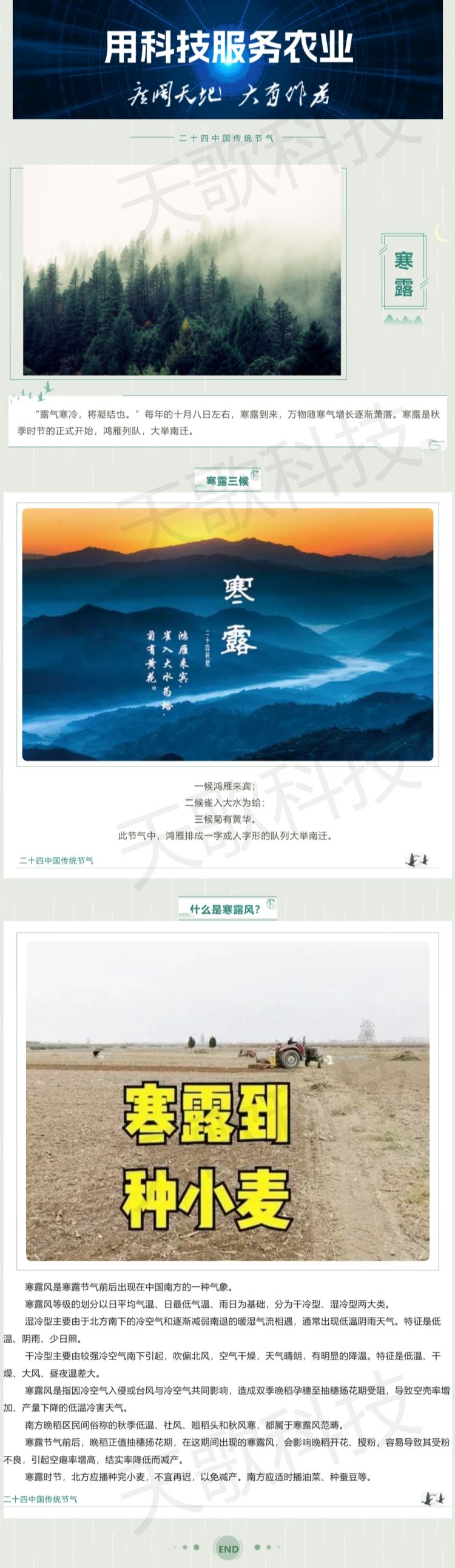 今日寒露：那什么是寒露風？.jpg