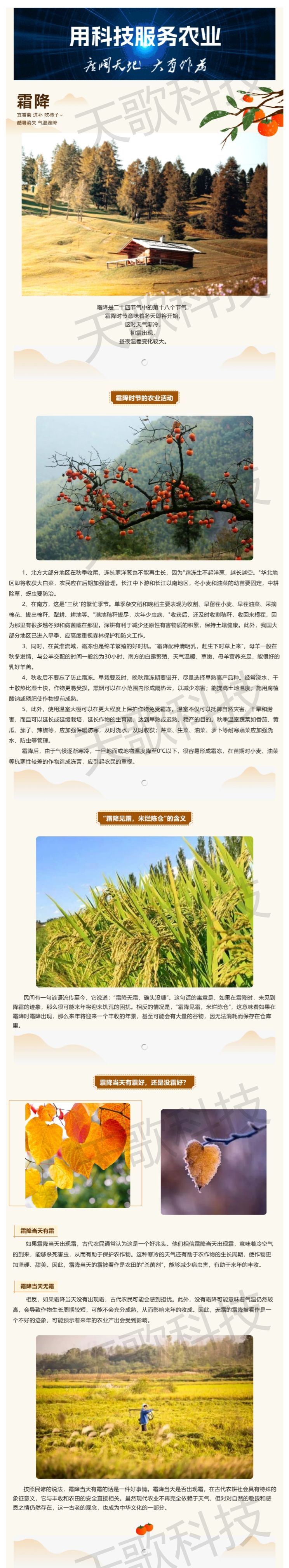 今日霜降：“霜降見(jiàn)霜，米爛陳倉(cāng)”，那到底有霜好還是無(wú)霜好？.jpg
