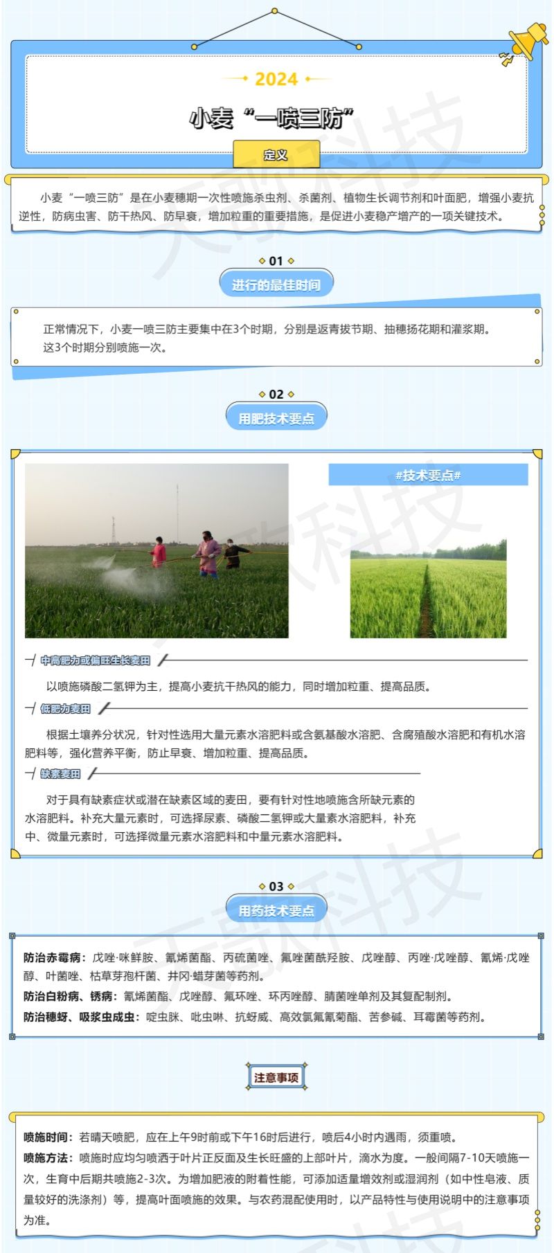 農(nóng)技分享_什么是小麥“一噴三防”？技術要點都有哪些？-加水印.jpg